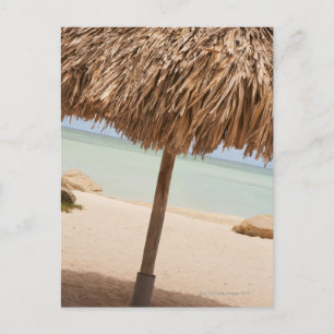 Aruba palapa på strand vykort