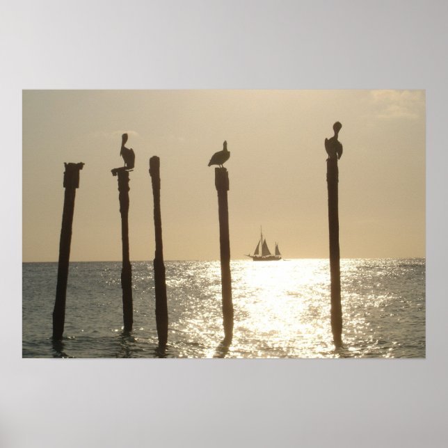 Aruba Poster (Framsidan)