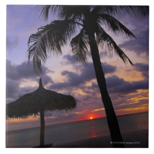 Aruba silhouette av palmträdet och palapaen på kakelplatta