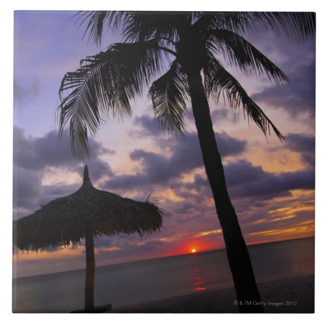 Aruba silhouette av palmträdet och palapaen på kakelplatta (Framsidan)