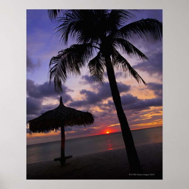 Aruba, silhuette handflatan träd och palapa poster (Framsidan)