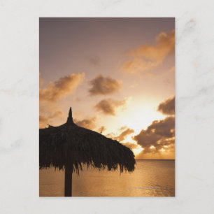 Aruba, silhuette palapa på stranden vid solnedgång vykort