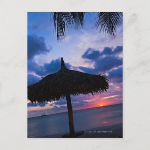 Aruba, silhuette palapa på stranden vid solnedgång vykort