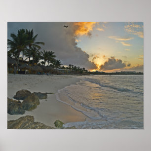 Aruba soluppgång poster