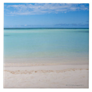 Aruba, strand och hav 3 kakelplatta