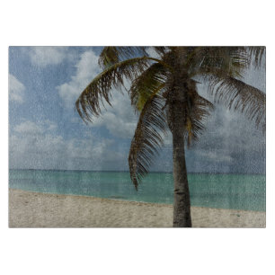 Aruban Beach I Vacker natur Scene