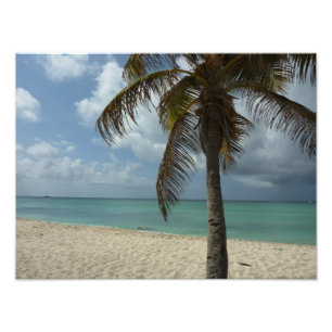 Aruban Beach I Vacker natur Scene Fototryck
