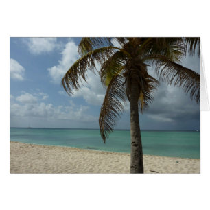 Aruban Beach I Vacker natur Scene Hälsningskort