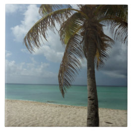 Aruban Beach I Vacker natur Scene Kakelplatta