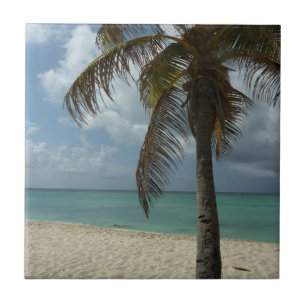 Aruban Beach I Vacker natur Scene Kakelplatta