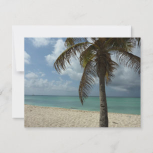 Aruban Beach I Vacker natur Scene Kort