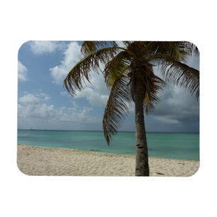 Aruban Beach I Vacker natur Scene Magnet