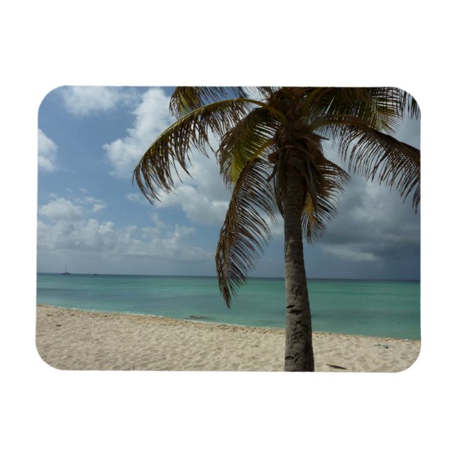 Aruban Beach I Vacker natur Scene Magnet (Horisontell)
