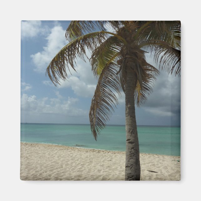 Aruban Beach I Vacker natur Scene Magnet (Framsidan)