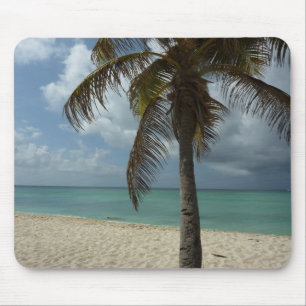 Aruban Beach I Vacker natur Scene Musmatta