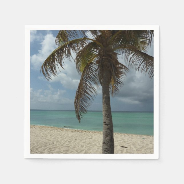 Aruban Beach I Vacker natur Scene Pappersservett (Framsidan)