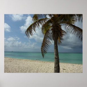 Aruban Beach I Vacker natur Scene Poster