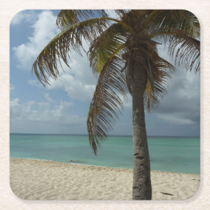 Aruban Beach I Vacker natur Scene Underlägg Papper Kvadrat