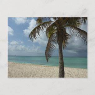 Aruban Beach I Vacker natur Scene Vykort
