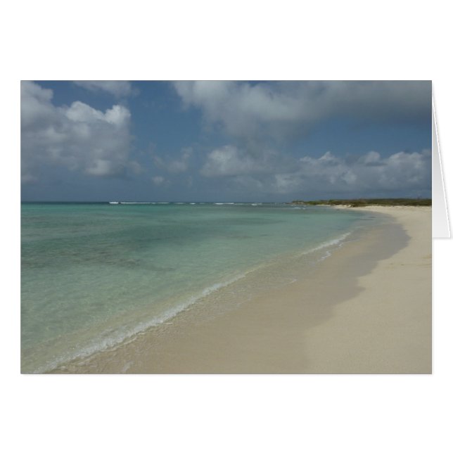 Aruban Beach II Vacker naturvård Hälsningskort (Framsidan Horizontal)