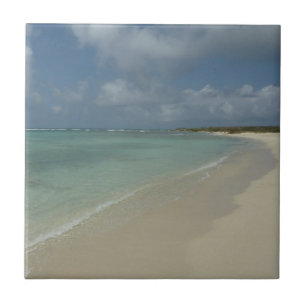 Aruban Beach II Vacker naturvård Kakelplatta