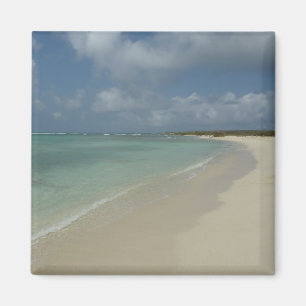 Aruban Beach II Vacker naturvård Magnet