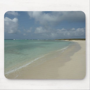 Aruban Beach II Vacker naturvård Musmatta