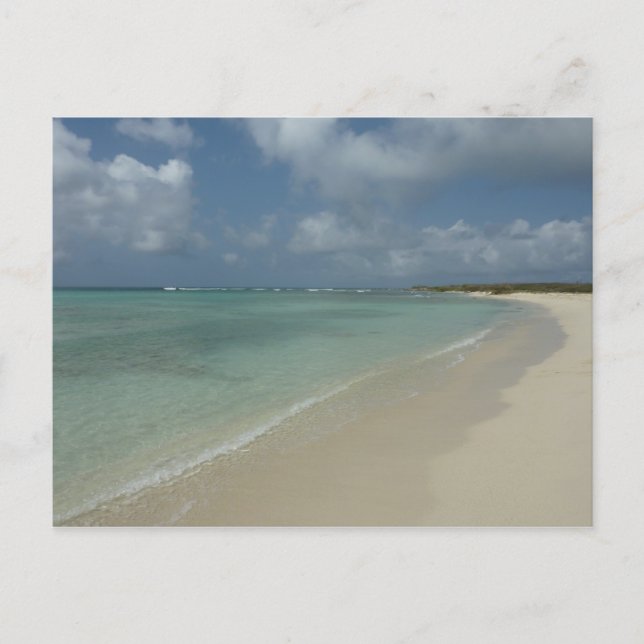 Aruban Beach II Vacker naturvård Vykort (Framsida)