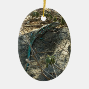 Aruban Whiptail Lizard Tropical Animal Fotography Julgransprydnad Keramik