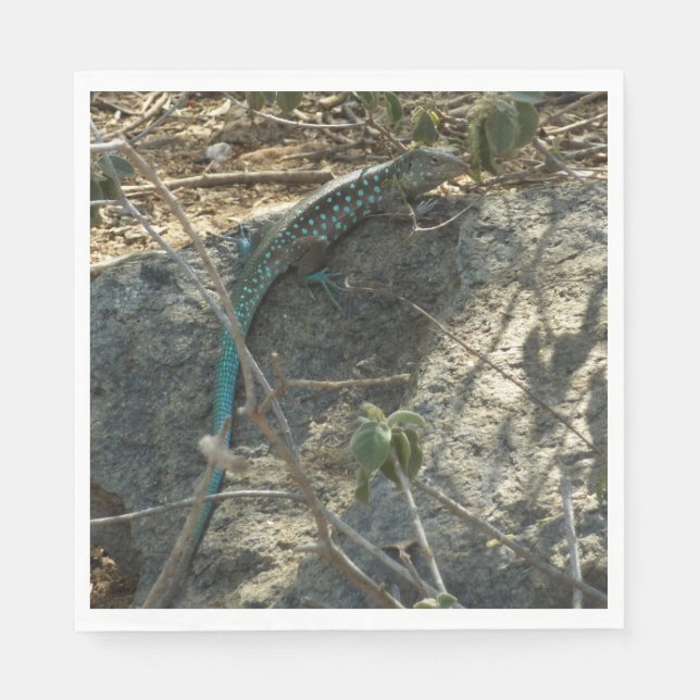 Aruban Whiptail Lizard Tropical Animal Fotography Pappersservett (Framsidan)