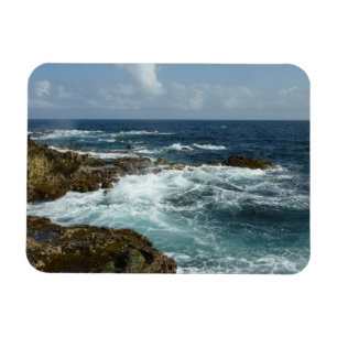Arubas Rocky Kusten och Blue Ocean Magnet