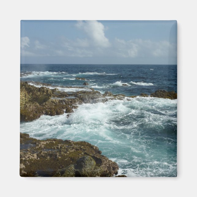 Arubas Rocky Kusten och Blue Ocean Magnet (Framsidan)