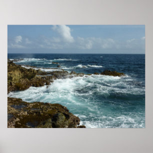 Arubas Rocky Kusten och Blue Ocean Poster