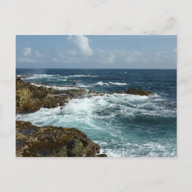 Arubas Rocky Kusten och Blue Ocean Vykort (Framsida)