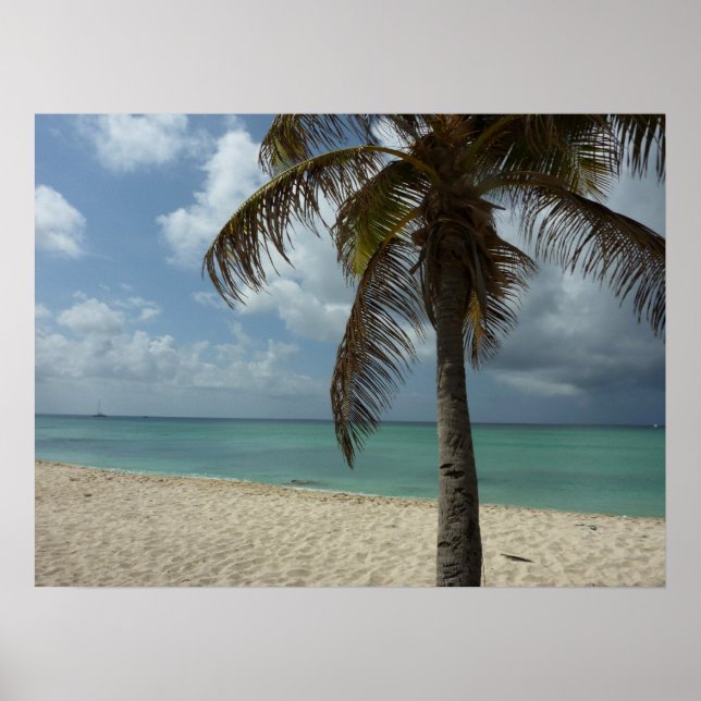 Arubisk Strand I Vacker Naturscen Poster (Framsidan)