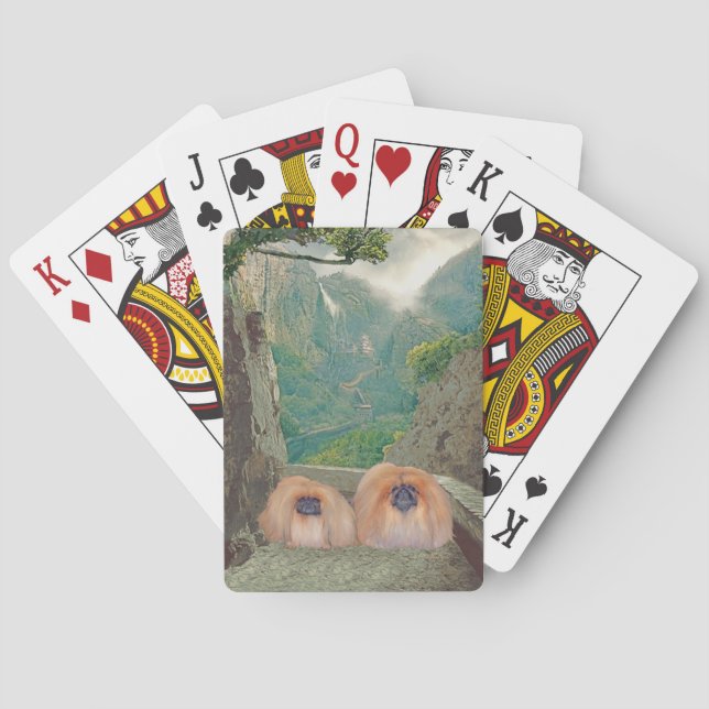 Arv Casinokort (Baksidan)
