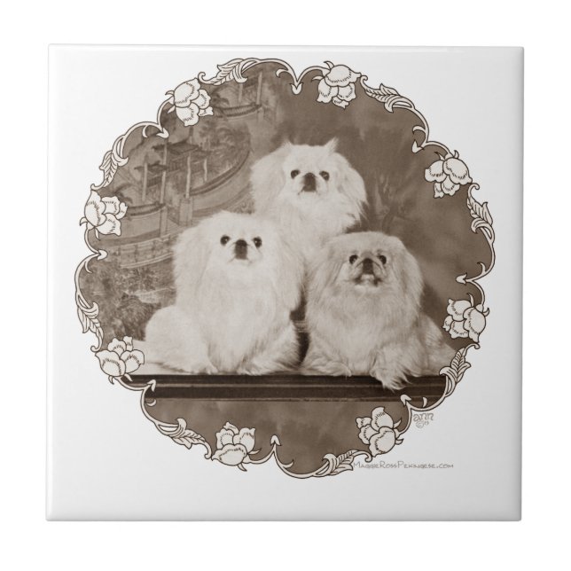 Arv Kakelplatta (Framsidan)