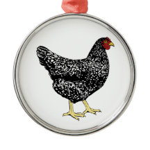 Arvavelvärphöns - gallerförsedd Plymouth sten