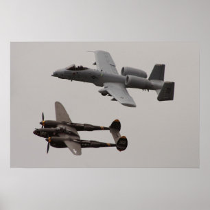 Arvflyg 2006 (beskåda #2), poster