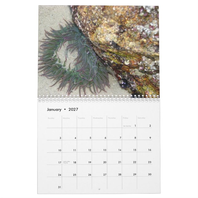 Arvfotografikalender 2013 kalender (Jan 2027)