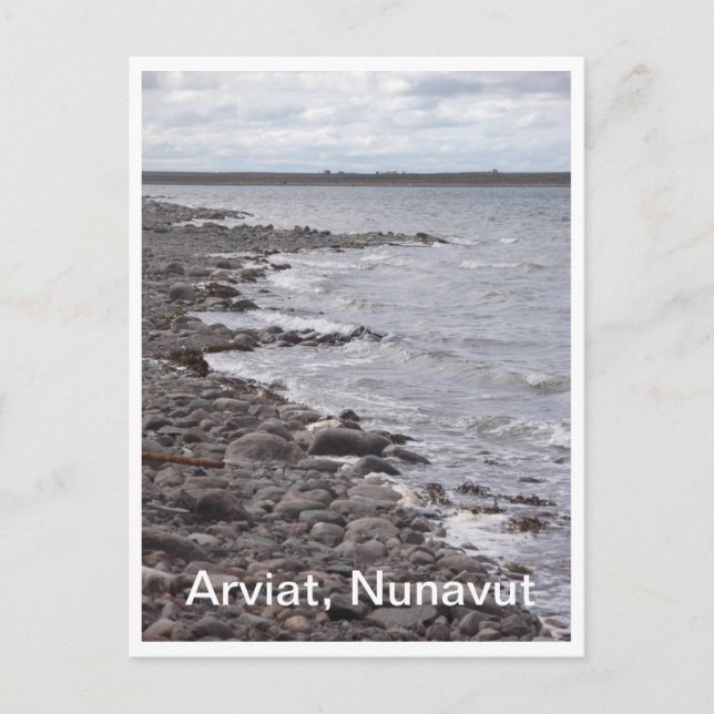 Arviat Nunavut Shoreline vykort (Framsida)