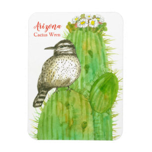 Arzona Cactus Wren Magnet
