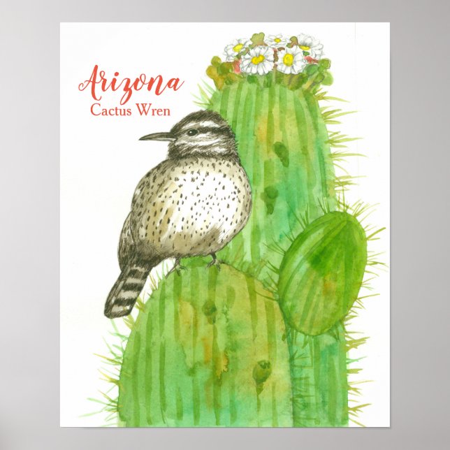 Arzona Cactus Wren Poster (Framsidan)