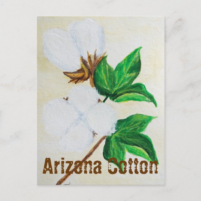 Arzona Cotton Facts vykort (Framsida)
