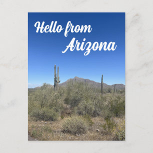 Arzona Ligcape Saguaro Cactus Nature Vykort
