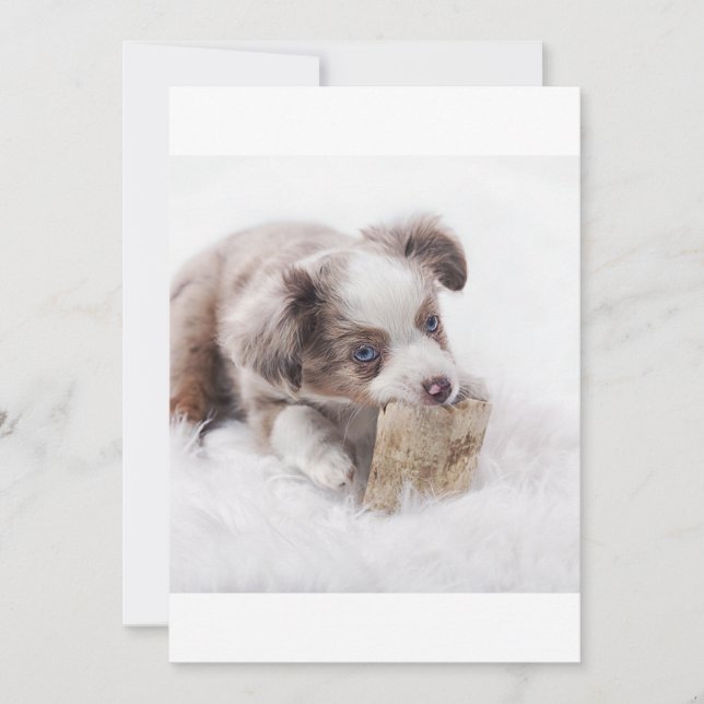 AS röd marionett (Framsida)