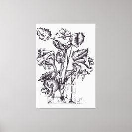 ASA CREATON CANVASTRYCK