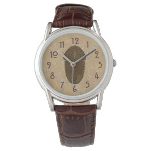 Asaphiscus Fossil Trilobit Armbandsur
