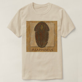 Asaphiscus fossil trilobit t shirt