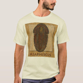 Asaphiscus fossil trilobit t shirt